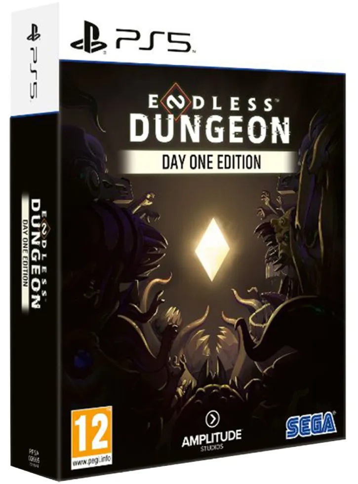 Joc PS5 Endless Dungeon Day One Edition