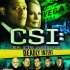 Joc Nintendo Wii CSI: Crime Scene Investigation - Deadly Intent