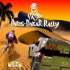 Joc PS2 Paris Dakar Rally - A