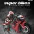 Joc PS2 Super-Bikes Riding Challenge