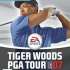 Joc PS2 Tiger Woods PGA Tour 07
