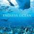 Joc Nintendo Wii Endless Ocean