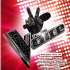 Joc Nintendo Wii The Voice - EAN: 3499550348750