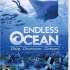 Joc Nintendo Wii Endless Ocean - NTSC-UC